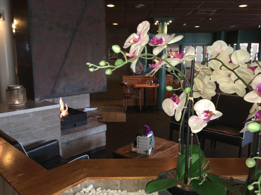 Appartement Ut & Thus, Resort Amelander Kaap Hollum  Bagian luar foto